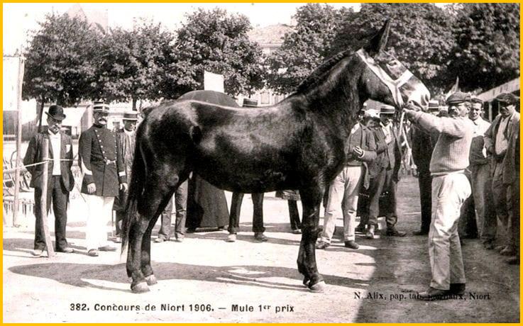 Fichier:1906 Alix Breche.jpg