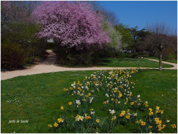 Fichier:Parc camille richard.jpeg
