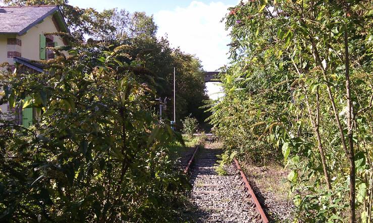 Fichier:Vue ligne.jpg