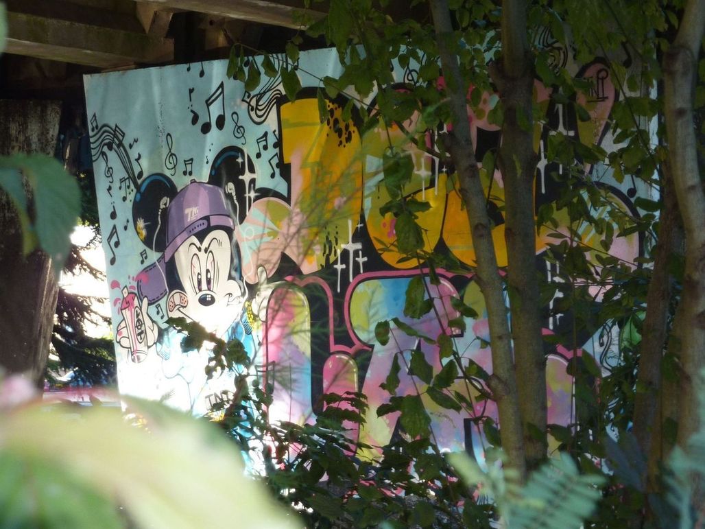 MurPaint graph10 QuaiMetayer.JPG