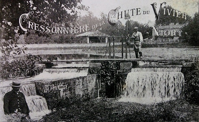 Cressonniere Vivier.jpg