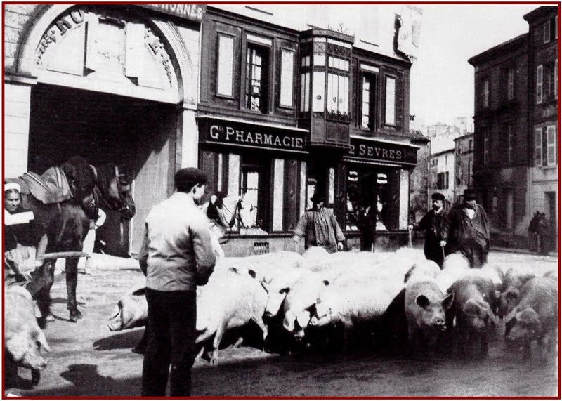 Fichier:Roulage debut XXe.jpg