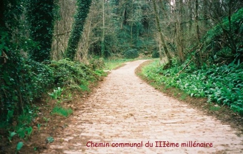Chemin2.jpg