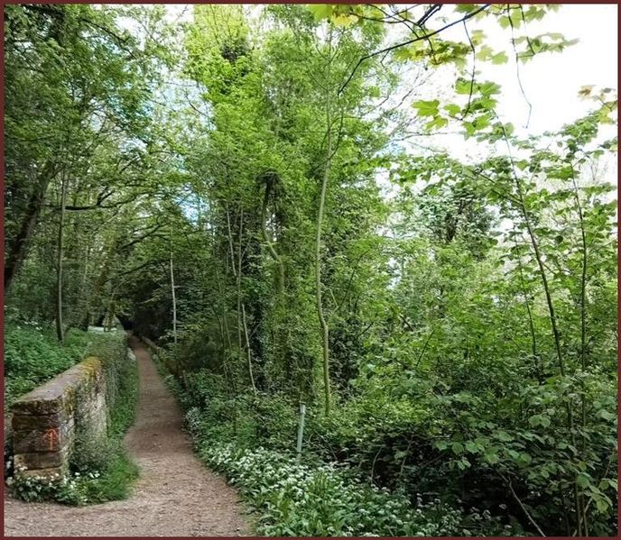 Fichier:Chem Amourettes.jpg