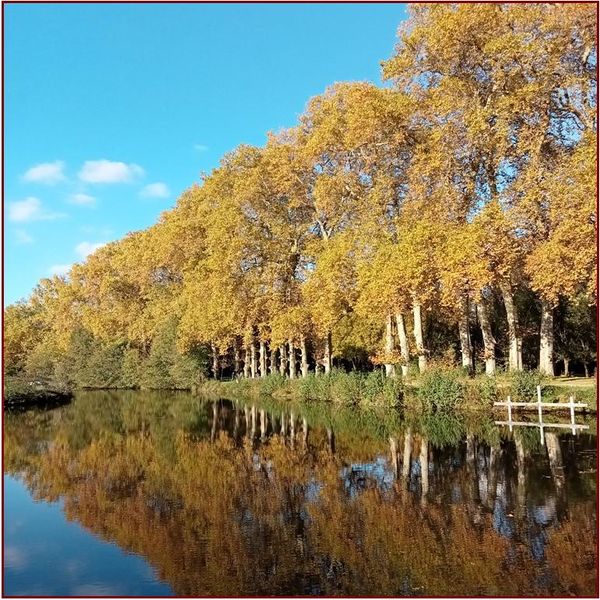 Fichier:ROUSSILLE 2022.jpg