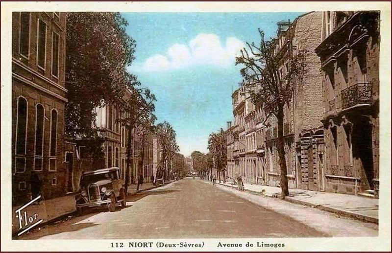 Fichier:Av Limoges arb.jpg