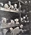 Buchenwald 1944.jpg