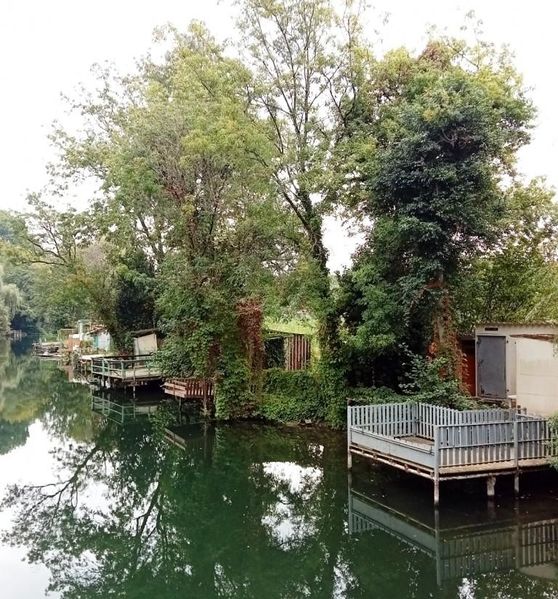 Fichier:Coq Rg 1.jpg