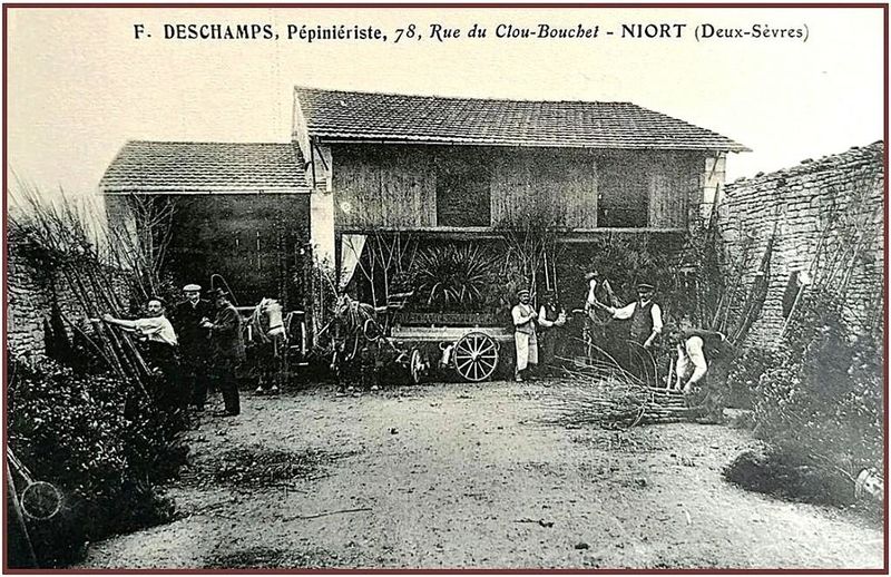 Fichier:FDeschamps.jpg