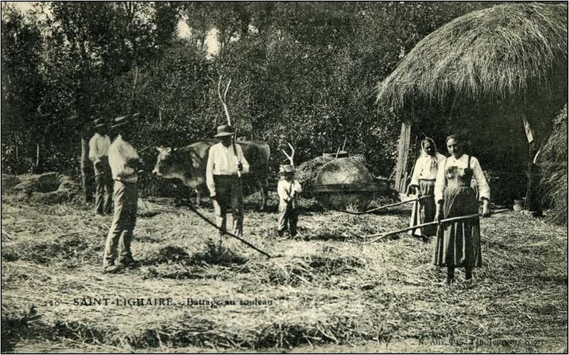 Fichier:BATTAGE AU ROULEAU.jpg