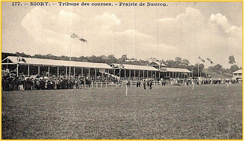 Fichier:Courses Nauron.jpg