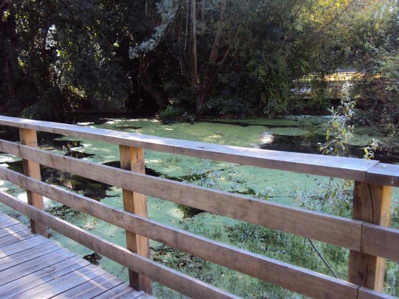 Fichier:Passage Vivier 2018.JPG