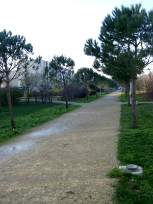 Allee cavaliere cb.JPG