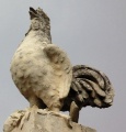 Coq Monument 14 18 St Florent.jpg