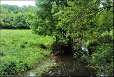 Lambon Chatreuil.jpg