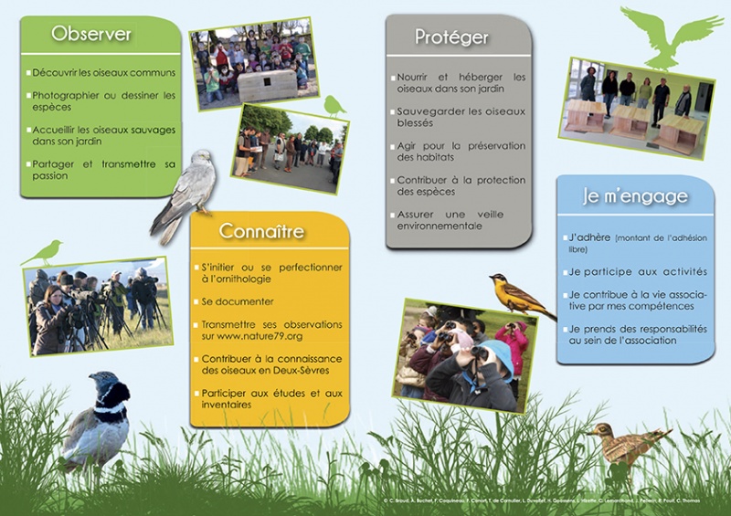 Fichier:Plaquette Groupe Ornithologique des D-S - 2014.jpg