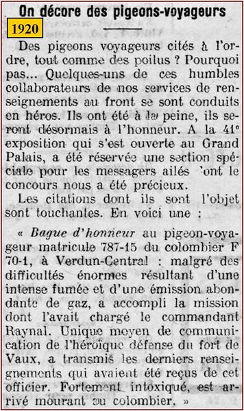 Fichier:1920 Pigeon décoré.jpg