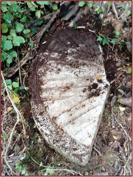 Fichier:Moulin Compéré meule.jpg