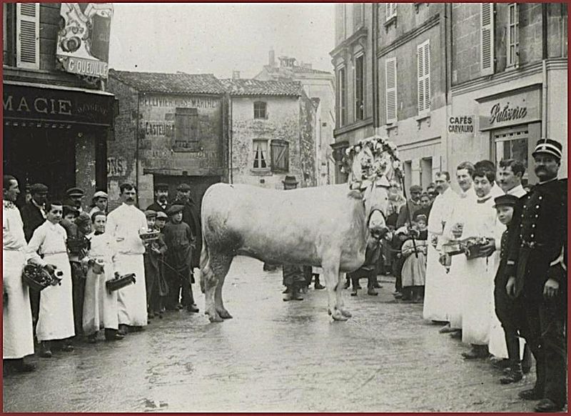 Fichier:1900 Boeuf gras.jpg