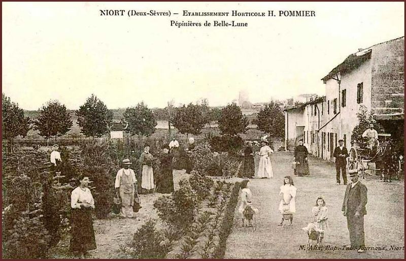 Fichier:Belle Lune.jpg