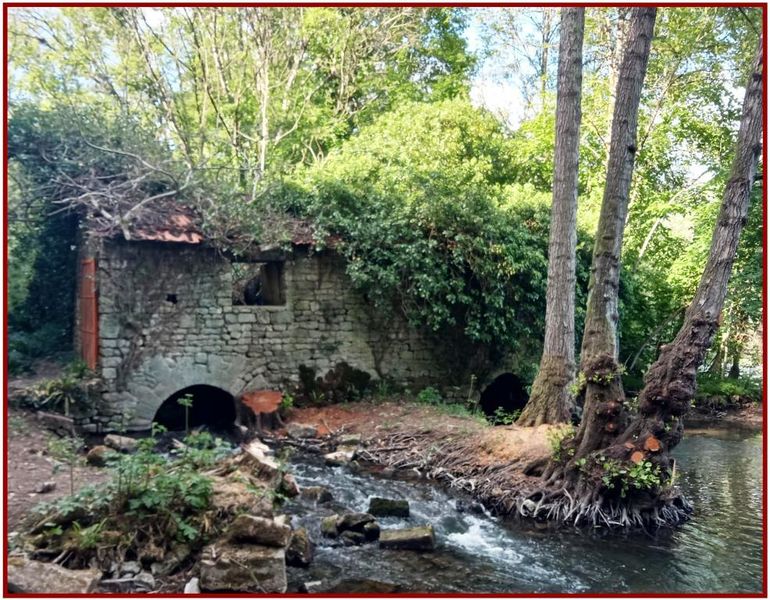 Fichier:Compere 2022.jpg