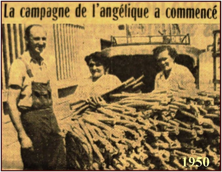 Fichier:QUINTARD 1950 angelique.jpg