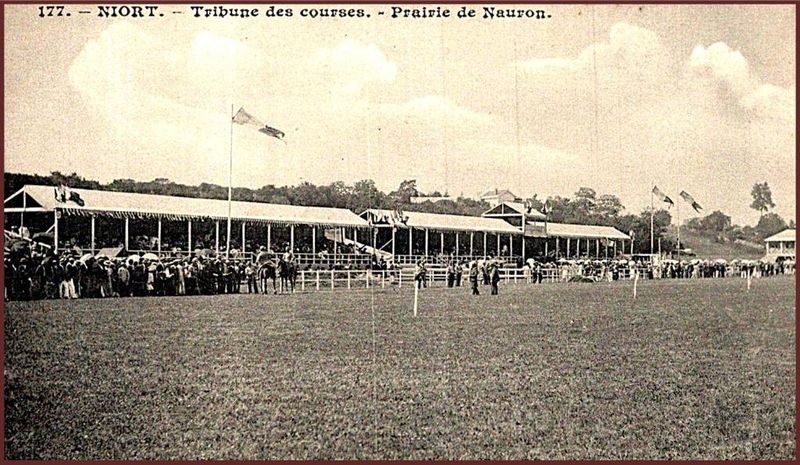 Fichier:Prairie Nauron.jpg