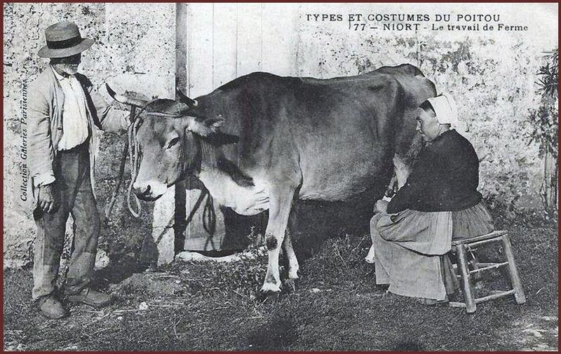 Fichier:Costumes Niort.jpg