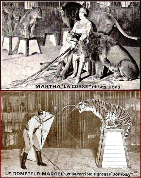 Fichier:Martha et Marcel.jpg