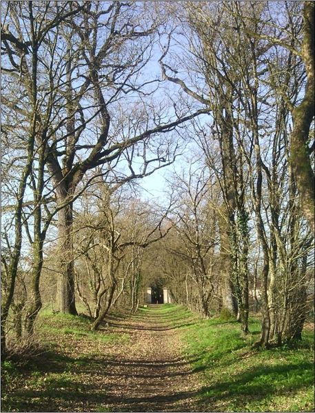 Fichier:Allee Rue Antes.jpg